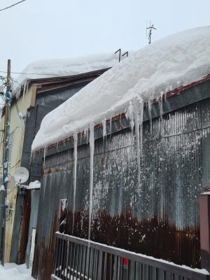 20240122_121049.jpg